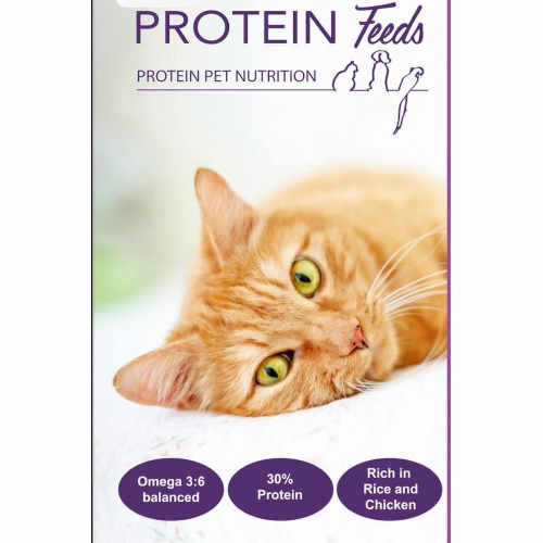 Protein Feeds Cat